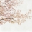 Papeles pintados panor&aacute;mico Blossom Almond Tree Coordonn&eacute; Pink 6500306N