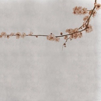 Papeles pintados panorámico Blossom Branch