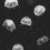 Papel pintado Jellyfish Coordonn&eacute; Black 5800012