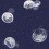 Papel pintado Jellyfish Coordonn&eacute; Blue 5800011
