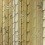 Papel pintado Bamboo Osborne and Little Mustard W7025-02