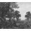 Papeles pintados panor&aacute;mico Silva Tres Tintas Barcelona Noir/blanc M2601-3