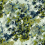 Tela Monet Rubelli Alga inchiostro 30162-002