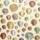 Papel pintado Captain Thomas Browns Shells John Derian Sepia PJD6000/01