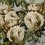 Papel pintado The rosa John Derian Steel PJD6002/06