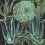 Papeles pintados panor&aacute;mico Succulentus Mindthegap Green/Anthracite WP20167