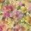 Papel pintado Surimono Designers Guild Berry PDG1062/01