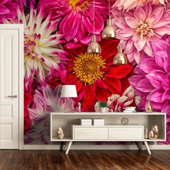 Papeles pintados panorámico Pink Delight Dahlias