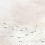 Papeles pintados panor&aacute;mico Koi Coordonn&eacute; Light 6600081