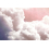 Papeles pintados panor&aacute;mico Clouds Coordonn&eacute; Pink 6800703N