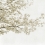 Papeles pintados panor&aacute;mico Blossom Almond Tree Coordonn&eacute; Grey 6500305N