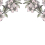 Papeles pintados panor&aacute;mico Springtime Double Rebel Walls Original R12651-8