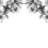 Papeles pintados panor&aacute;mico Springtime Double Rebel Walls Black/White R12652-8
