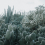 Papeles pintados panor&aacute;mico Cacti Rebel Walls Lush R15611
