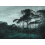 Papeles pintados panor&aacute;mico Pine Trees Les Dominotiers Original DOM1510