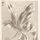 Papeles pintados Tulip Teyler Eijffinger Black/White 358117