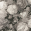 Papel pintado Flowers de Heem - Masterpiece Eijffinger White 358001