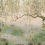 Papeles pintados panor&aacute;mico Lotus Coordonn&eacute; Aloe 7900040