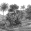 Papeles pintados panor&aacute;mico Jungle Land Rebel Walls Grey R14612