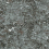 Revestimiento mural Bearded Leopard MOOOI by Arte Fossil Grey MO2051
