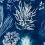 Papeles pintados panor&aacute;mico Algae Mindthegap Navy blue WP20297