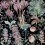 Papeles pintados panor&aacute;mico Garden of Eden Mindthegap Anthracite WP20324