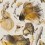 Papeles pintados panor&aacute;mico Goldfish Mindthegap Ivory WP20302
