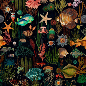 Papeles pintados panorámico Oceania