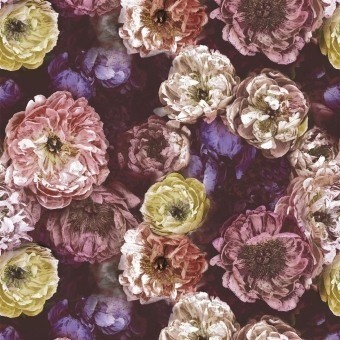 Terciopelo Le Poeme De Fleurs