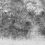 Papeles pintados panor&aacute;mico Palmas Tres Tintas Barcelona Grège M3040-1