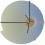 Alfombras Bow soft Shanghai MOOOI 250 cm SHP190069
