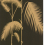 Papel pintado Palm Leaves Cole and Son Noir/or 66/2014