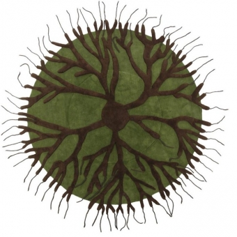 Alfombras Roots par Matte ali Crasset