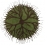 Alfombras Roots par Matte ali Crasset Nodus Green roots