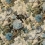 Terciopelo Floral Pompadour Mulberry SAGE FD315.S108