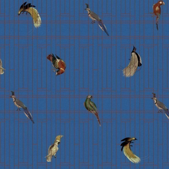 Papeles pintados panorámico Ancient Nature Birds