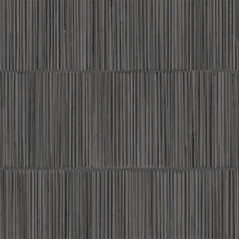 Papel pintado Palm Leaf Wall
