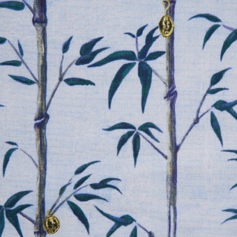 Tela Money Tree