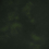 Cuero sint&eacute;tico Lucida Designers Guild Forest FDG2889/20