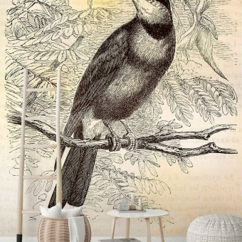 Papeles pintados panorámico Vintage Birds 2