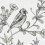 Papeles pintados panor&aacute;mico Birdy 1 Walls by Patel Grey 110417