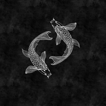 Papeles pintados panorámico Blackboard 5