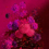 Papeles pintados panor&aacute;mico Bouquet Vibrant Walls by Patel Magenta 110707