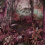 Papeles pintados panor&aacute;mico Jungle Walls by Patel Magenta 110692