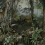 Papeles pintados panor&aacute;mico Jungle Walls by Patel Mint 110697