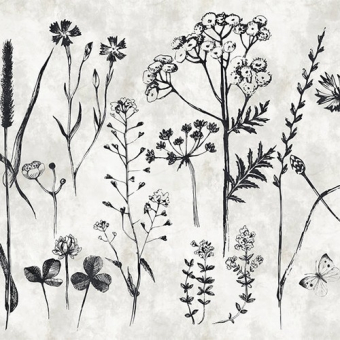Papeles pintados panorámico Sketchpad 1