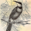 Papeles pintados panor&aacute;mico Vintage Birds 2 Walls by Patel Yellow 110437
