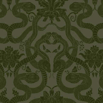Terciopelo Anaconda