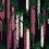 Papeles pintados panor&aacute;mico Wisteria Alba Christian Lacroix Magenta PCL7032/01