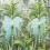 Papeles pintados panor&aacute;mico Palm House Osborne and Little Forest W7452-01